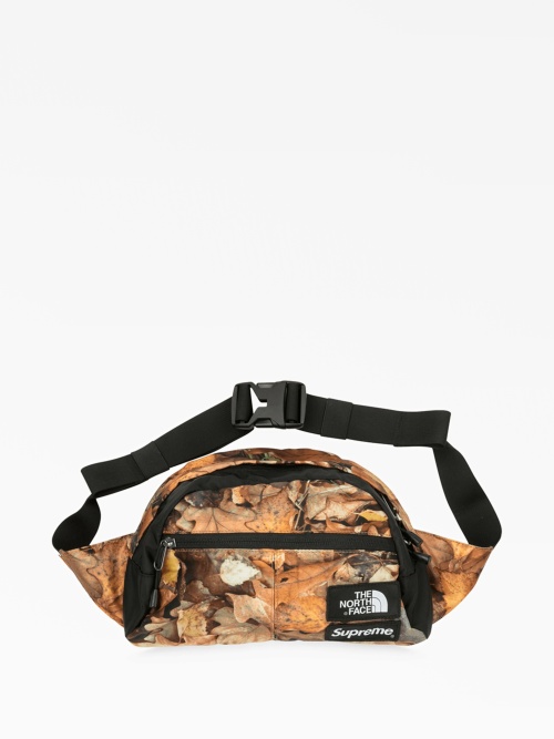 North face roo fanny pack online